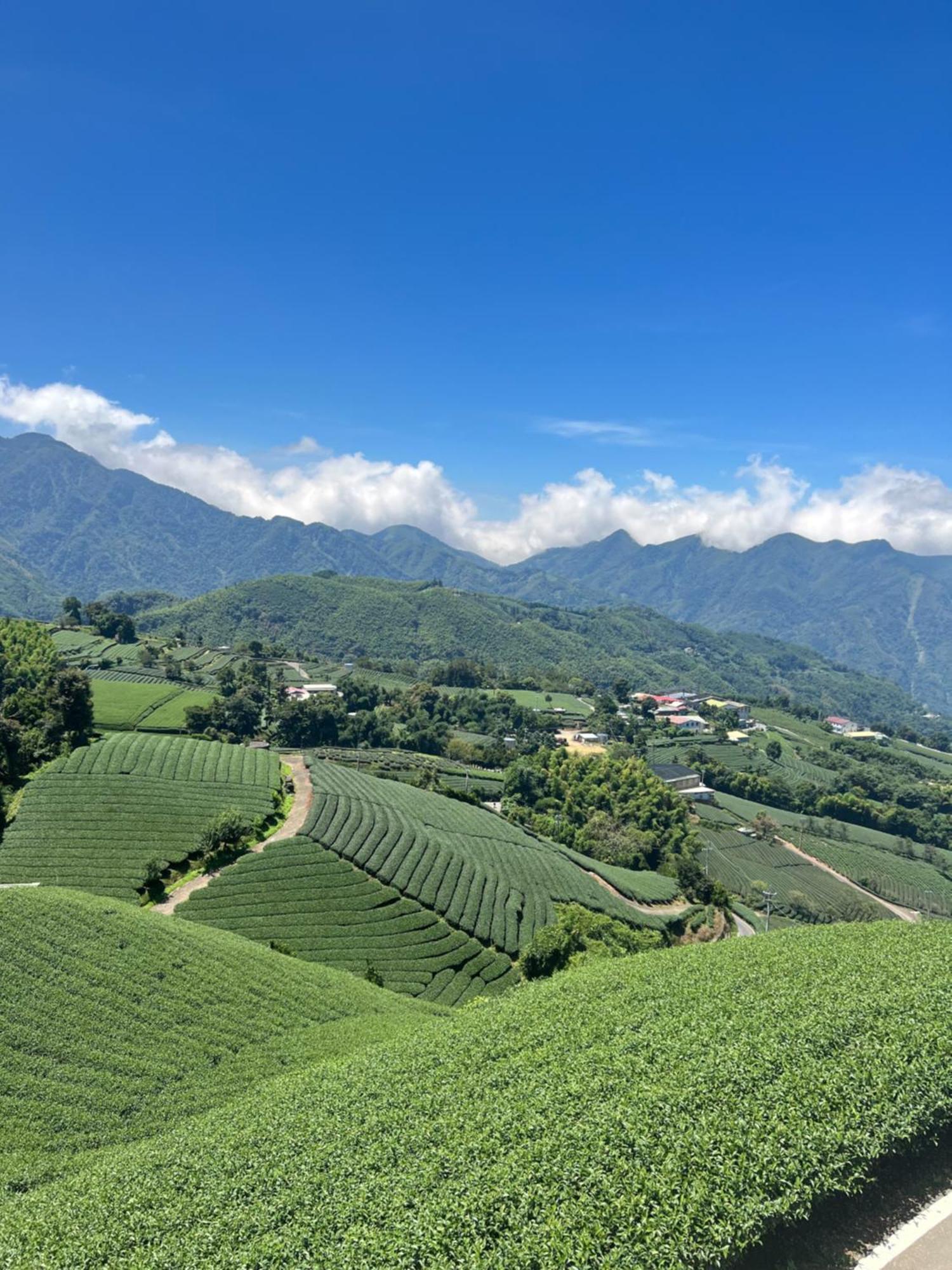 Meishan Gaodiyuan Tea B&B 高帝園茶業民宿 מראה חיצוני תמונה