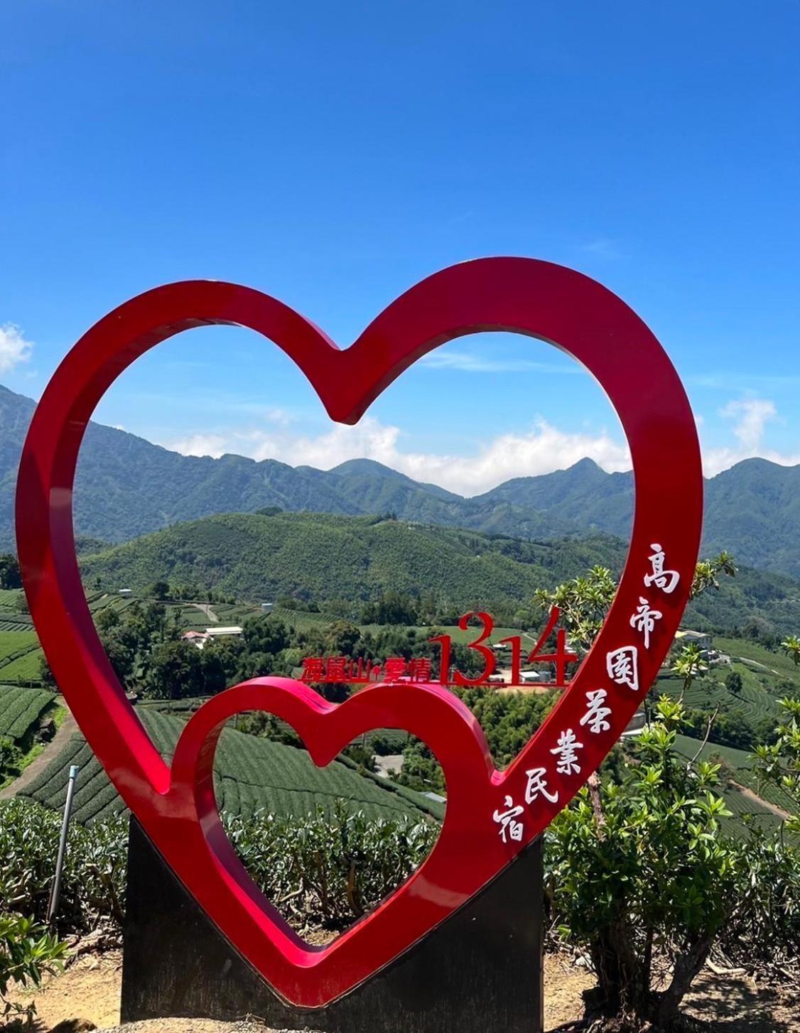 Meishan Gaodiyuan Tea B&B 高帝園茶業民宿 מראה חיצוני תמונה