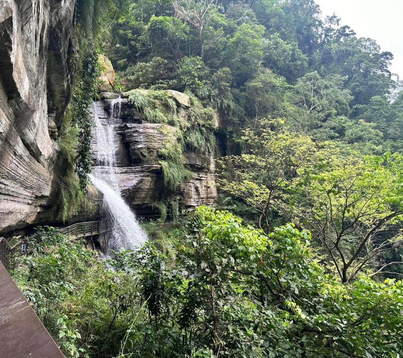 Meishan Gaodiyuan Tea B&B 高帝園茶業民宿 מראה חיצוני תמונה
