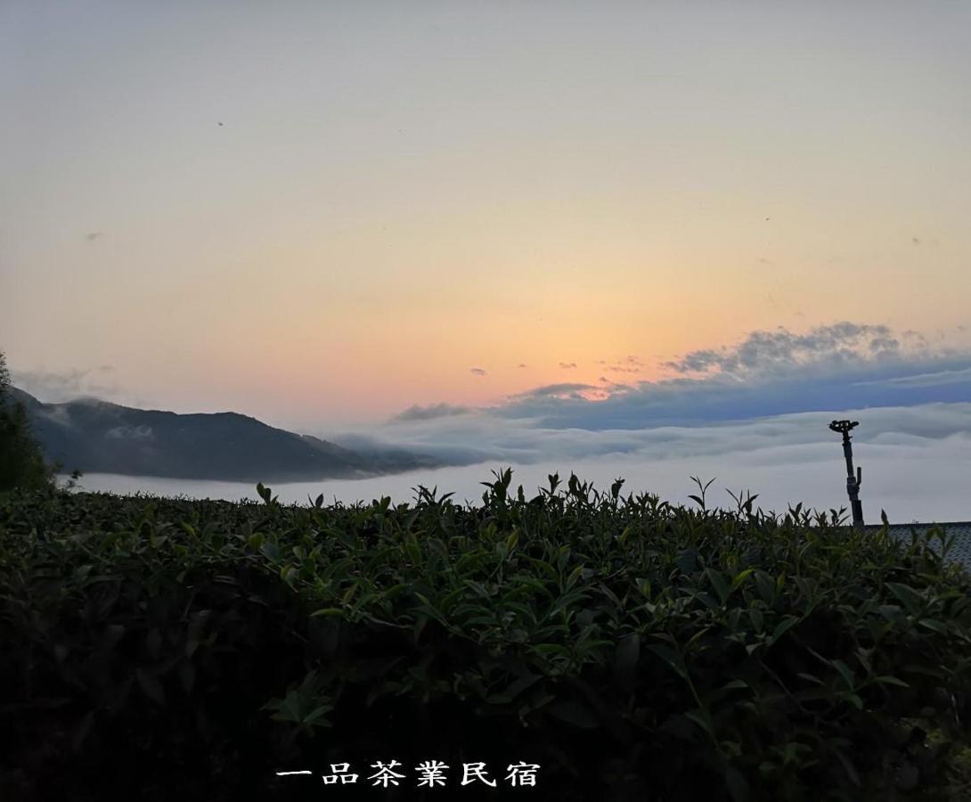 Meishan Gaodiyuan Tea B&B 高帝園茶業民宿 מראה חיצוני תמונה